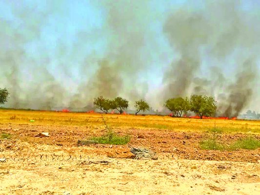 Cuidar el ambiente es obligación de todos