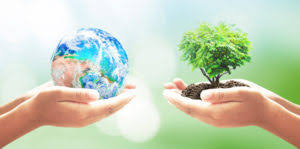 Periodico Ambiental