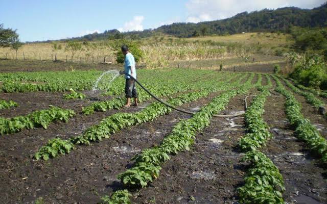 Aprueban ley federal de derechos, campesinos pagarán por el uso de agua.