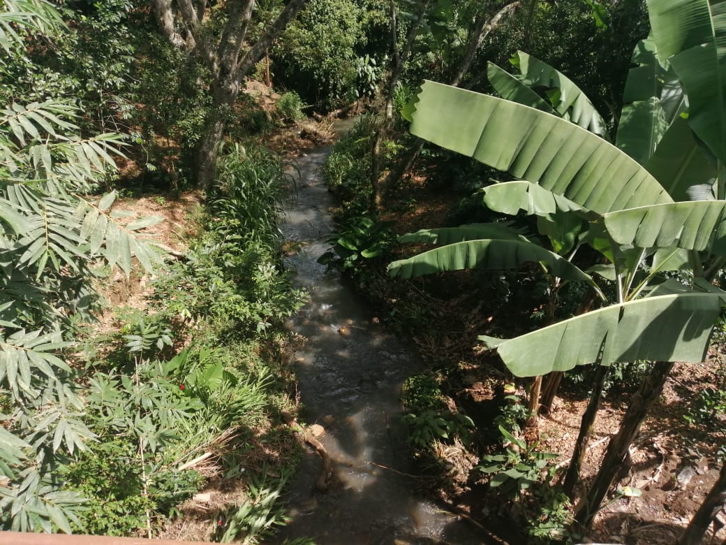 Contaminación alcanza río en Tlaltetela. 