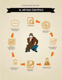 ¿COMO REALIZAN LOS CIENTÍFICOS SUS INVESTIGACIONES?