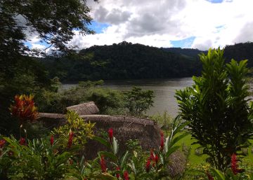 El mundo exige salvar la Amazonia, 