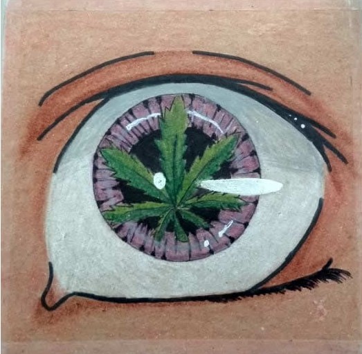 drogadicto con la marihuana (infografia)