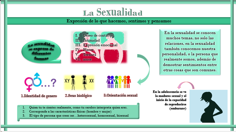 Infografia De La Sexualidad