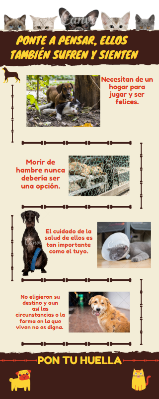 infografia pon tu huella