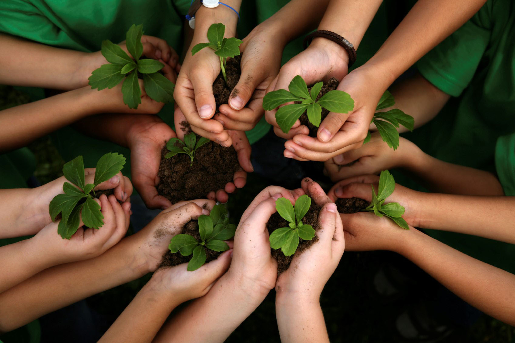 UPCH: Semana de la Educación Ambiental resalta que cuidar el ambiente es tarea de todos