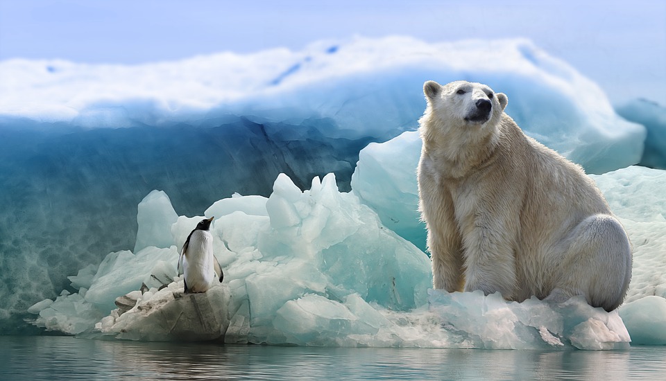 un 40% menos de hielo en el Ártico