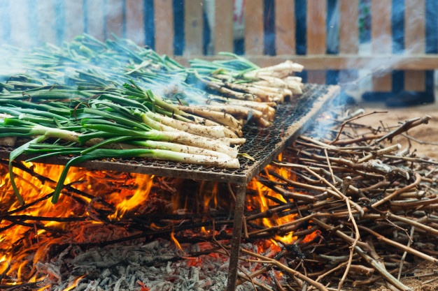 LA CALÇOTADA EN VALLS