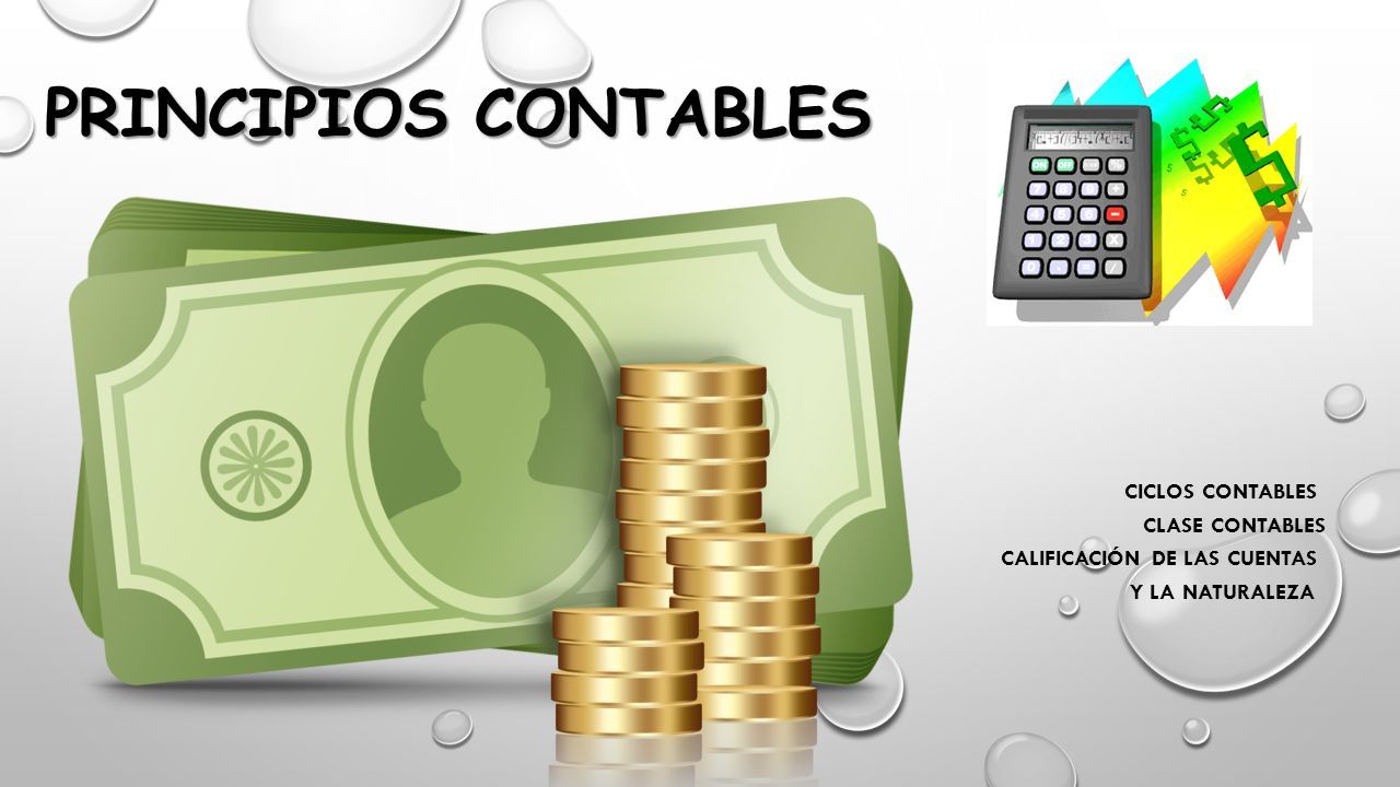 Principios Contables 8274