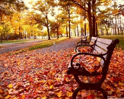 Llegó el otoño.