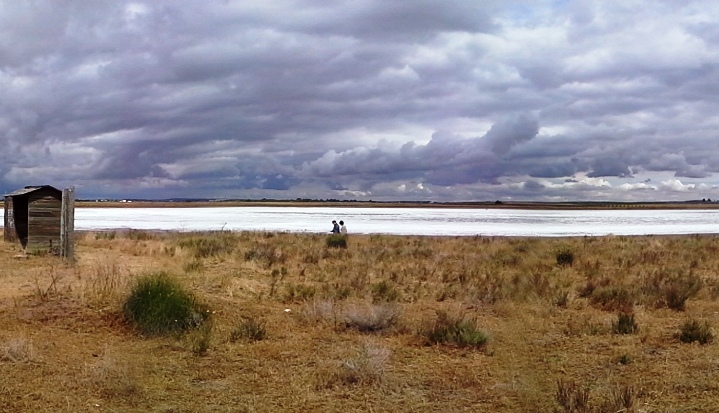 Ecologistas alertan de la contaminación y falta de agua en los humedales manchegos