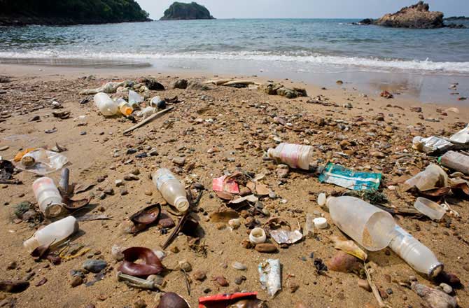 CONTAMINACIÓN EN MAR BELLA DE BARCELONA