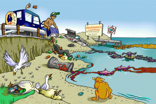 PRINCIPALES CONTAMINANTES