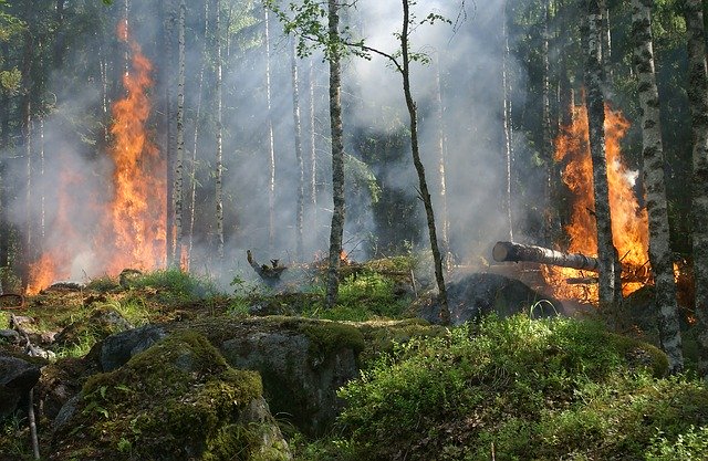 Devastador incendio en el Montseny