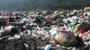 Impactos de la contaminación del suelo: todas las claves