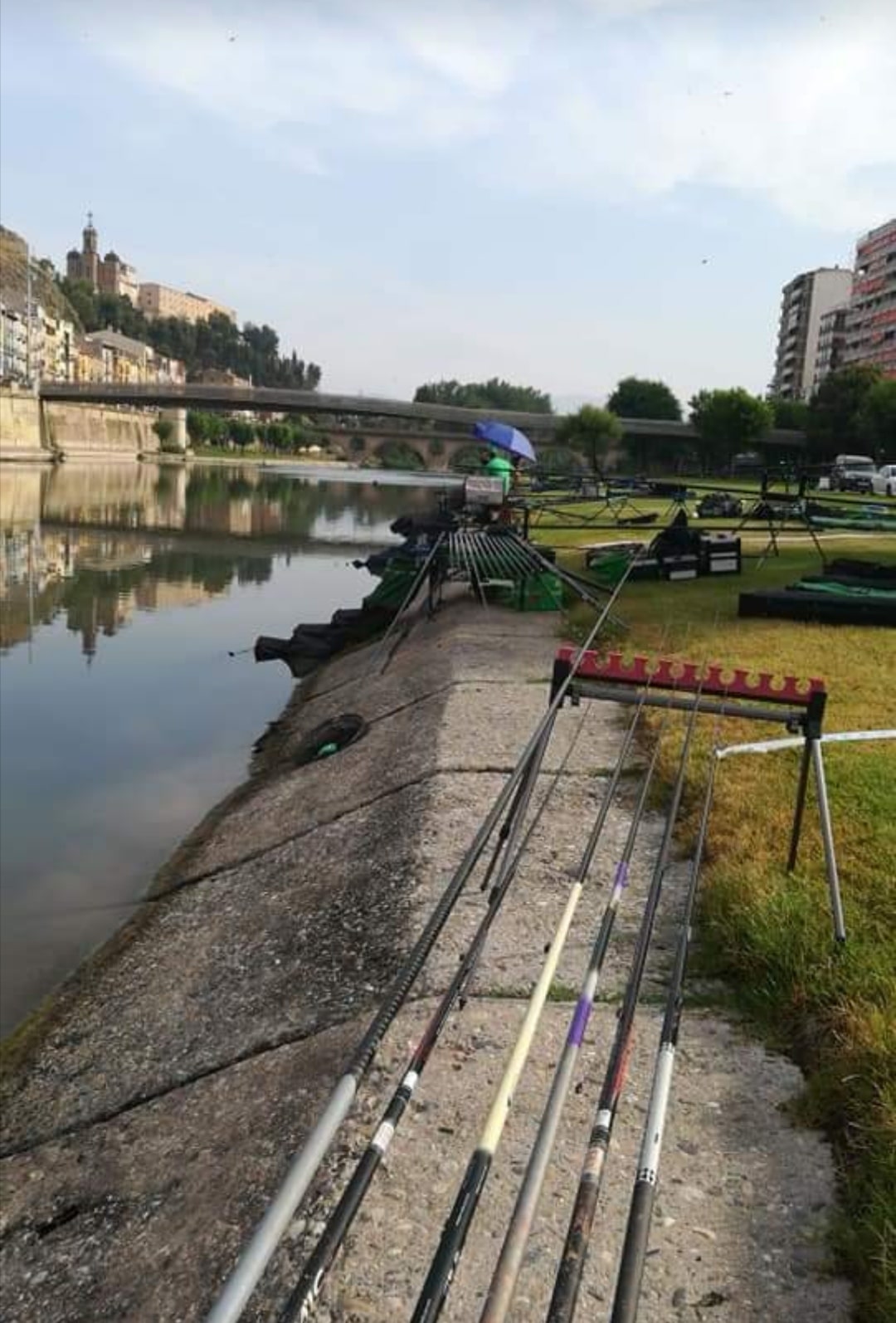 Aumentar y potenciar la pesca deportiva futura en niños