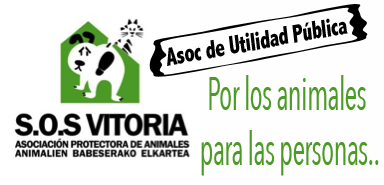 La asociación APASOS VITORIA ha conseguido adoptantes para el %60 de los perros que allí residían.