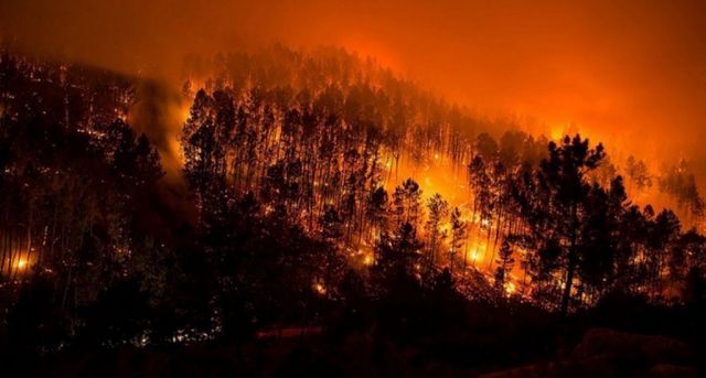 Bolsonaro ha admitido que los incendios en el amazonas eran intencionados y ha decidido rectificar.