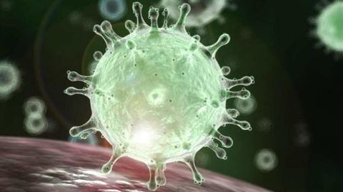 El primer caso de coronavirus en España