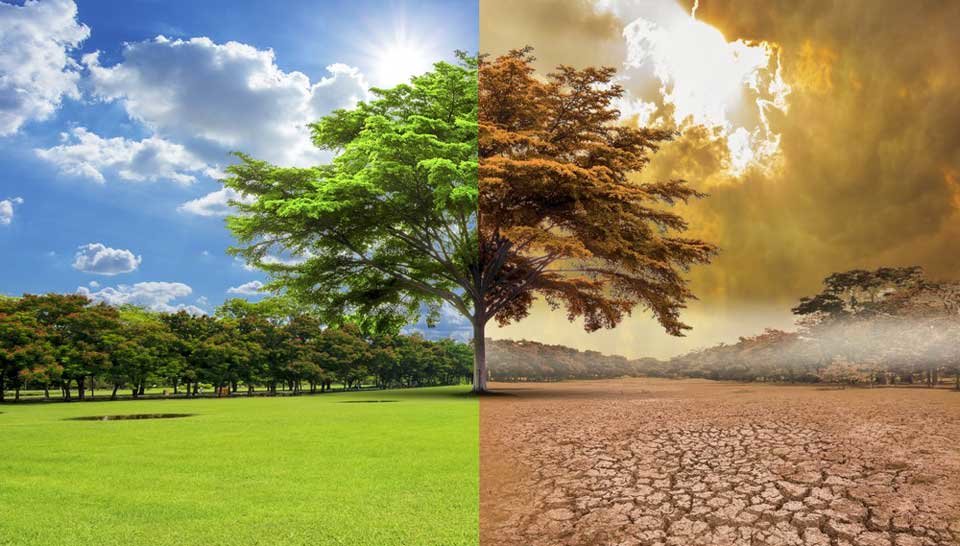 Por una sociedad libre de carbono