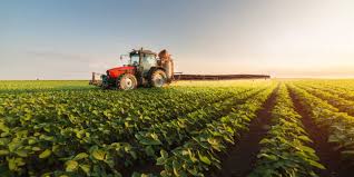 La agricultura cae en picado