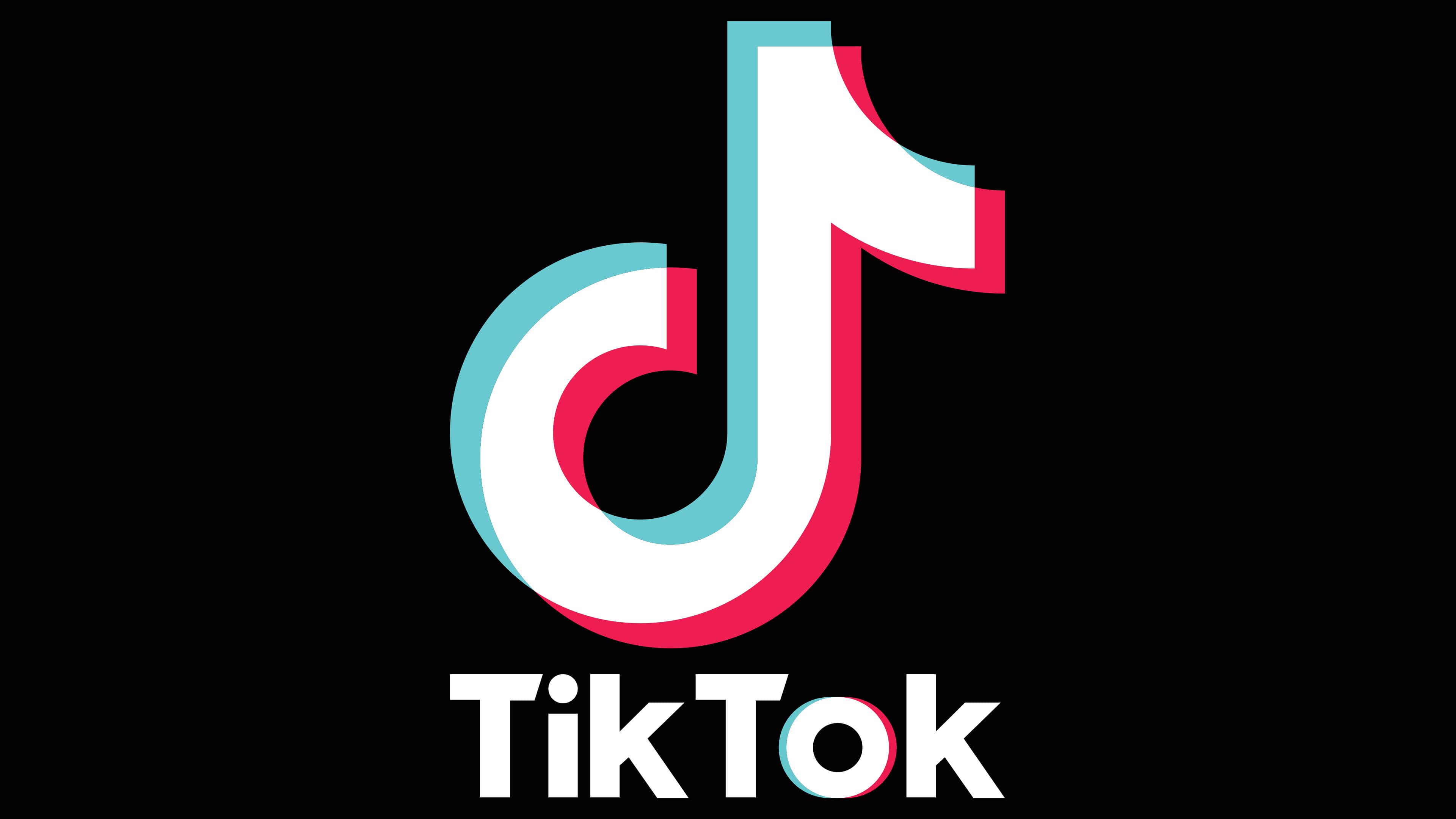 EL FENÓMENO TIKTOK