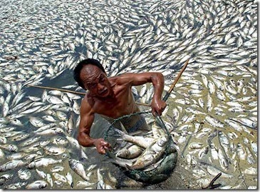 Contaminación?????