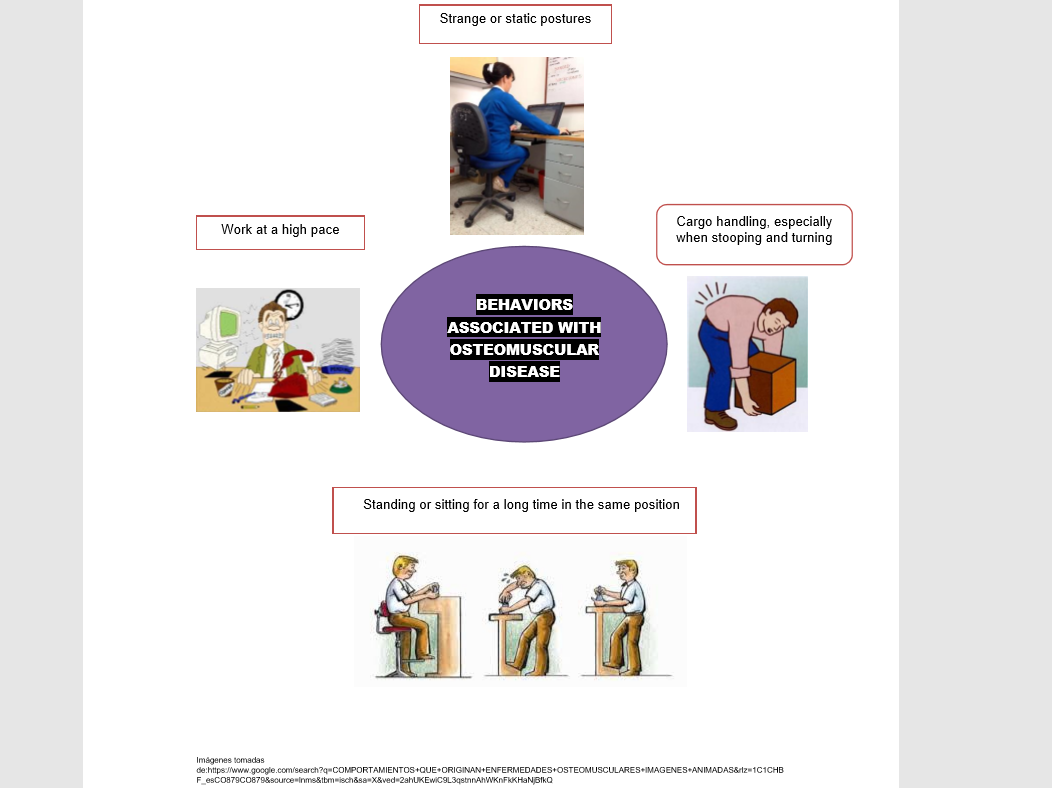 RISK FACTORS