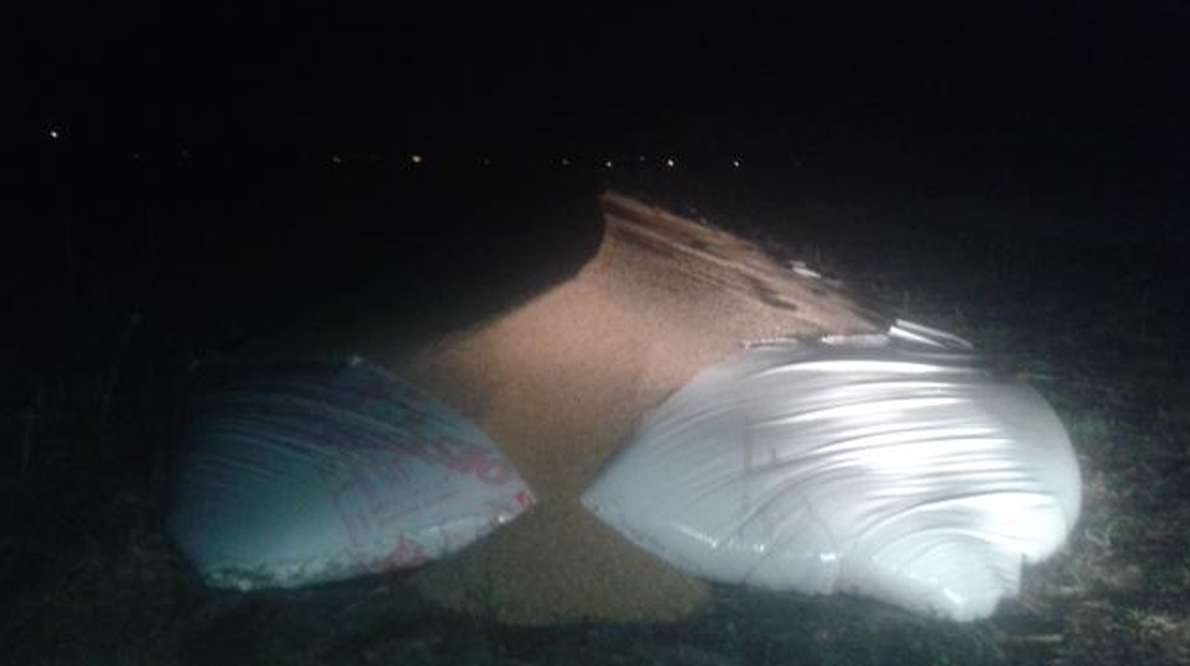 ATAQUE A UN SILO BOLSA , UN PRODUCTOR MATO A UN PRESUNTO VANDALO