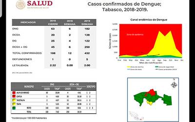 ¿Cómo podemos evitar el dengue?