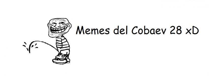 MEMES COBAEV 28