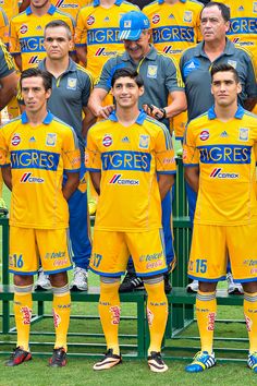 Tigres vs Pajaros