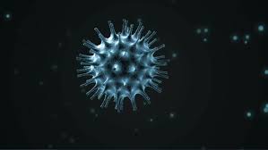 Nueva Enfermedad: Coronavirus.