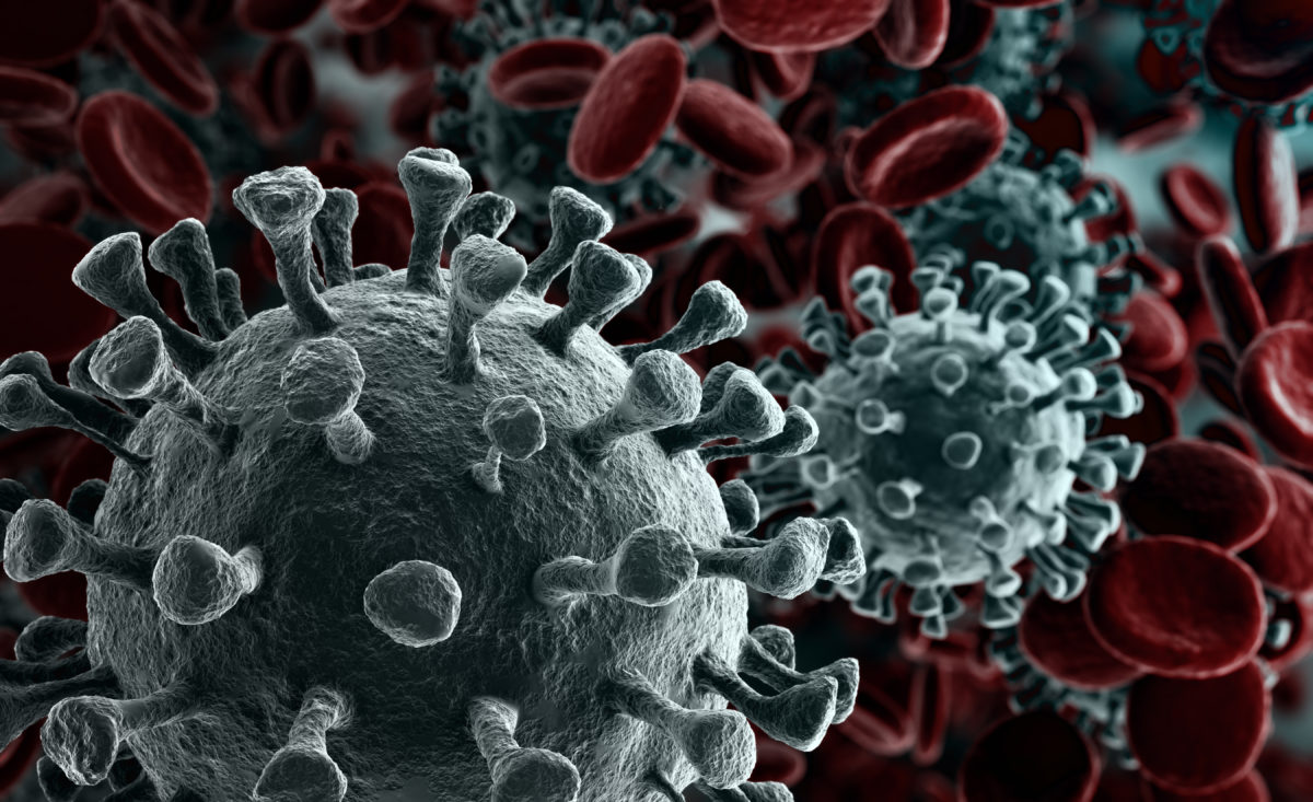Corona Virus Medidas De Prevención