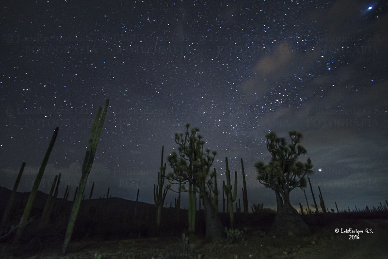 Noche de estrellas será en Calakmul