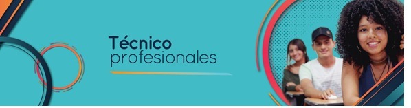 Técnico Profesional