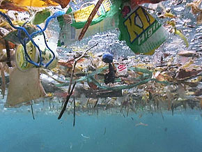 Basura en el mar¡¡¡¡
