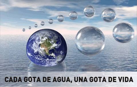 Datos Curiosos