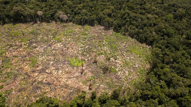 CIGA exige informe sobre degradación forestal