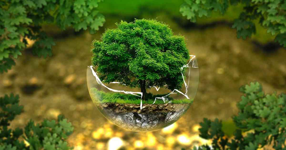Medioambiente