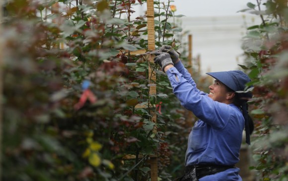 Tras escándalo, grandes productores no podrán tomar créditos de Finagro