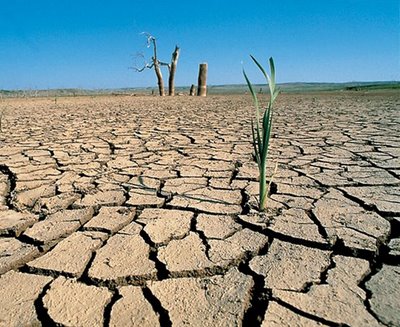  Sequía agudiza la escasez de agua potable en Oaxaca