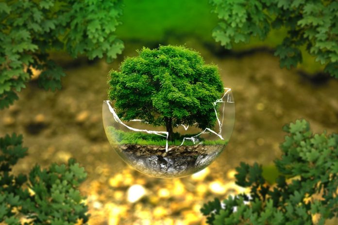 Una nueva forma de relacionarnos con la naturaleza: el desarrollo sostenible.