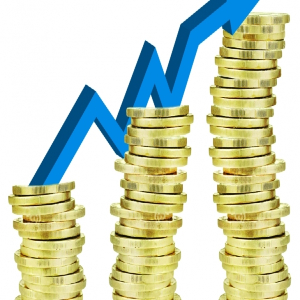 ¿Cómo lograr una economía plena?