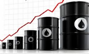 Petróleo registró hoy la mayor caída diaria desde fines de abril