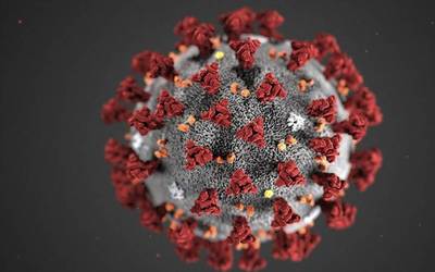 Mapa de casos por coronavirus por departamento en Perú: hoy, 8 de junio