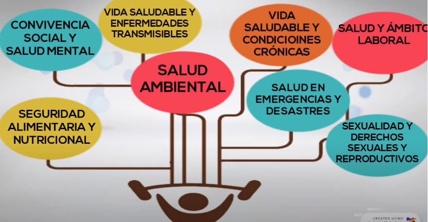 Las dimensiones prioritarias del actual Plan Decenal de Salud colombiano