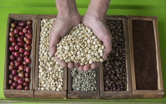 Producción de café subió en abril