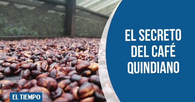 El secreto del café quindiano premiado en Francia