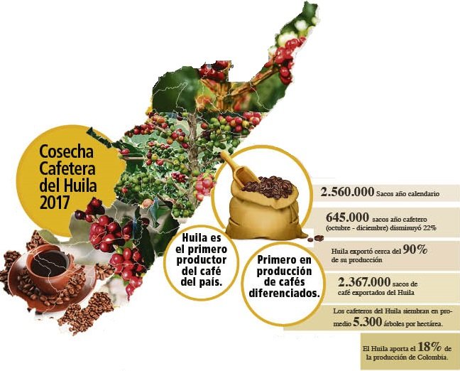 Huila es el departamento líder en la producción del café